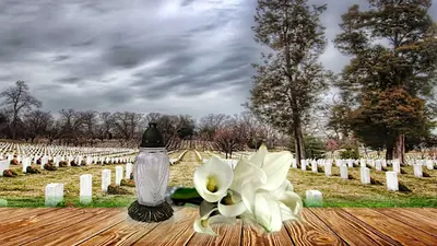 Sprzątanie Grobów, Opieka Nad Grobami Elentari